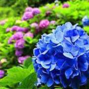 ヒメ日記 2025/05/26 16:29 投稿 ゆみこ 完熟ばなな 谷九店