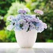 ヒメ日記 2025/06/05 11:29 投稿 ゆみこ 完熟ばなな 谷九店