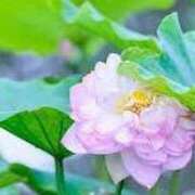 ヒメ日記 2025/06/07 16:49 投稿 ゆみこ 完熟ばなな 谷九店