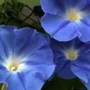 ヒメ日記 2025/06/13 18:59 投稿 ゆみこ 完熟ばなな 谷九店