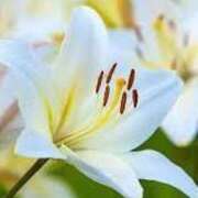 ヒメ日記 2025/06/26 17:29 投稿 ゆみこ 完熟ばなな 谷九店