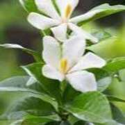 ヒメ日記 2025/06/29 15:29 投稿 ゆみこ 完熟ばなな 谷九店