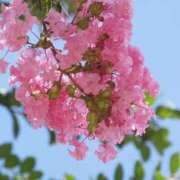 ヒメ日記 2025/08/09 15:59 投稿 ゆみこ 完熟ばなな 谷九店