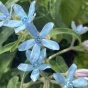 ヒメ日記 2025/08/21 19:09 投稿 ゆみこ 完熟ばなな 谷九店