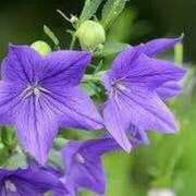 ヒメ日記 2025/09/25 18:29 投稿 ゆみこ 完熟ばなな 谷九店