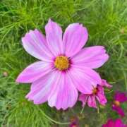 ヒメ日記 2025/10/02 15:39 投稿 ゆみこ 完熟ばなな 谷九店