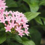 ヒメ日記 2025/10/13 16:39 投稿 ゆみこ 完熟ばなな 谷九店