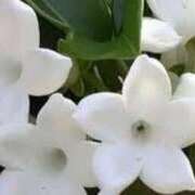 ヒメ日記 2025/10/19 17:19 投稿 ゆみこ 完熟ばなな 谷九店