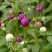 ヒメ日記 2025/10/20 15:59 投稿 ゆみこ 完熟ばなな 谷九店