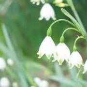 ヒメ日記 2026/01/24 17:42 投稿 ゆみこ 完熟ばなな 谷九店