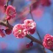 ゆみこ 昨日のお礼です♡ 完熟ばなな 谷九店