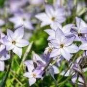 ゆみこ ありがとうございます♡ 完熟ばなな 谷九店