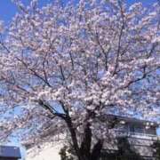 ゆみこ こんにちは 完熟ばなな 谷九店