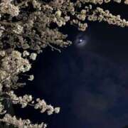 ヒメ日記 2025/04/04 14:54 投稿 なな【FG系列】 アロマdeフィーリングin横浜（FG系列）