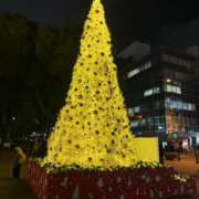 ヒメ日記 2025/12/20 15:03 投稿 なな【FG系列】 アロマdeフィーリングin横浜（FG系列）