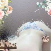 ヒメ日記 2025/03/22 14:33 投稿 ゆかり モアグループ熊谷人妻花壇