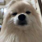 ヒメ日記 2025/02/13 01:16 投稿 あんなさん いけない奥さん 十三店