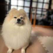 ヒメ日記 2025/03/18 00:01 投稿 あんなさん いけない奥さん 十三店