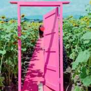 ヒメ日記 2025/08/17 01:28 投稿 あんなさん いけない奥さん 十三店