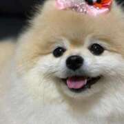 ヒメ日記 2025/08/31 23:58 投稿 あんなさん いけない奥さん 十三店