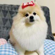 ヒメ日記 2025/02/20 01:10 投稿 あんなさん いけない奥さん 梅田店