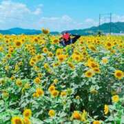 ヒメ日記 2025/08/17 10:10 投稿 あんなさん いけない奥さん 梅田店