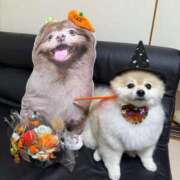 ヒメ日記 2025/10/31 08:09 投稿 あんなさん いけない奥さん 梅田店