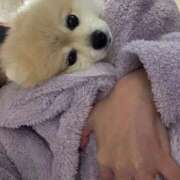 ヒメ日記 2025/11/20 01:38 投稿 あんなさん いけない奥さん 梅田店