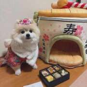 ヒメ日記 2026/01/03 03:08 投稿 あんなさん いけない奥さん 梅田店