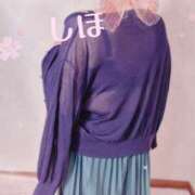 ヒメ日記 2025/11/18 09:30 投稿 しほ 佐久上田人妻隊