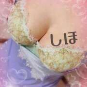 ヒメ日記 2025/11/19 09:30 投稿 しほ 佐久上田人妻隊