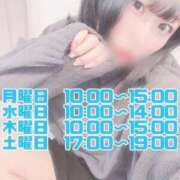 ヒメ日記 2025/02/16 09:40 投稿 さち エディーズ