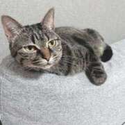 ヒメ日記 2025/03/03 08:10 投稿 さち エディーズ