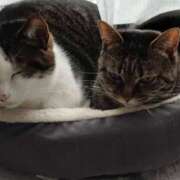 ヒメ日記 2025/03/05 08:04 投稿 さち エディーズ