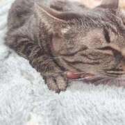 ヒメ日記 2025/04/17 09:06 投稿 さち エディーズ