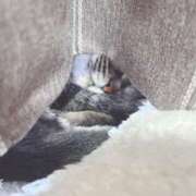 ヒメ日記 2025/05/02 13:56 投稿 さち エディーズ