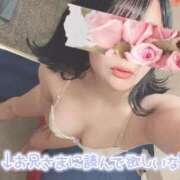 ヒメ日記 2025/05/08 10:03 投稿 さち エディーズ