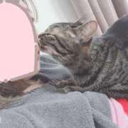 ヒメ日記 2025/05/12 09:29 投稿 さち エディーズ