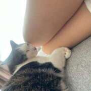 ヒメ日記 2025/06/07 08:16 投稿 さち エディーズ