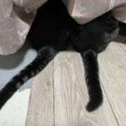 ヒメ日記 2025/06/09 11:46 投稿 さち エディーズ