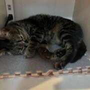 ヒメ日記 2025/07/28 19:06 投稿 さち エディーズ