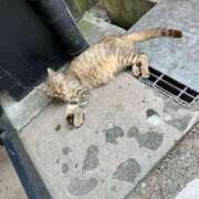 ヒメ日記 2025/08/24 18:46 投稿 さち エディーズ