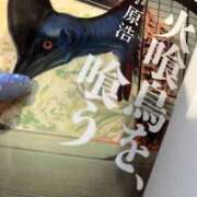 ヒメ日記 2025/09/07 18:26 投稿 さち エディーズ