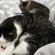 ヒメ日記 2025/10/24 19:56 投稿 さち エディーズ