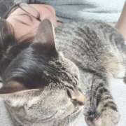 ヒメ日記 2025/11/18 16:19 投稿 さち エディーズ