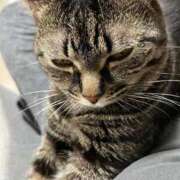 ヒメ日記 2026/01/18 08:26 投稿 さち エディーズ