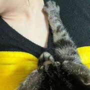 ヒメ日記 2026/01/29 20:26 投稿 さち エディーズ