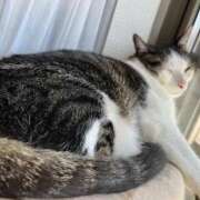 ヒメ日記 2026/04/15 06:26 投稿 さち エディーズ