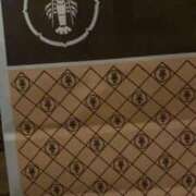 ヒメ日記 2025/04/19 14:00 投稿 ふたば アラモード