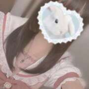 ヒメ日記 2026/06/03 12:34 投稿 ふたば アラモード
